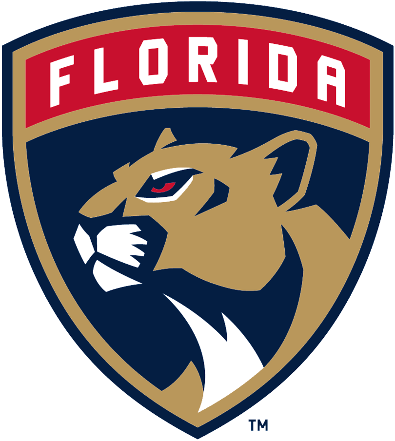 Florida Panthers 2017-Pres Primary Logo iron on transfers for fabric
